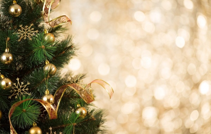 Merry Christmas and a Happy New Year 2019!